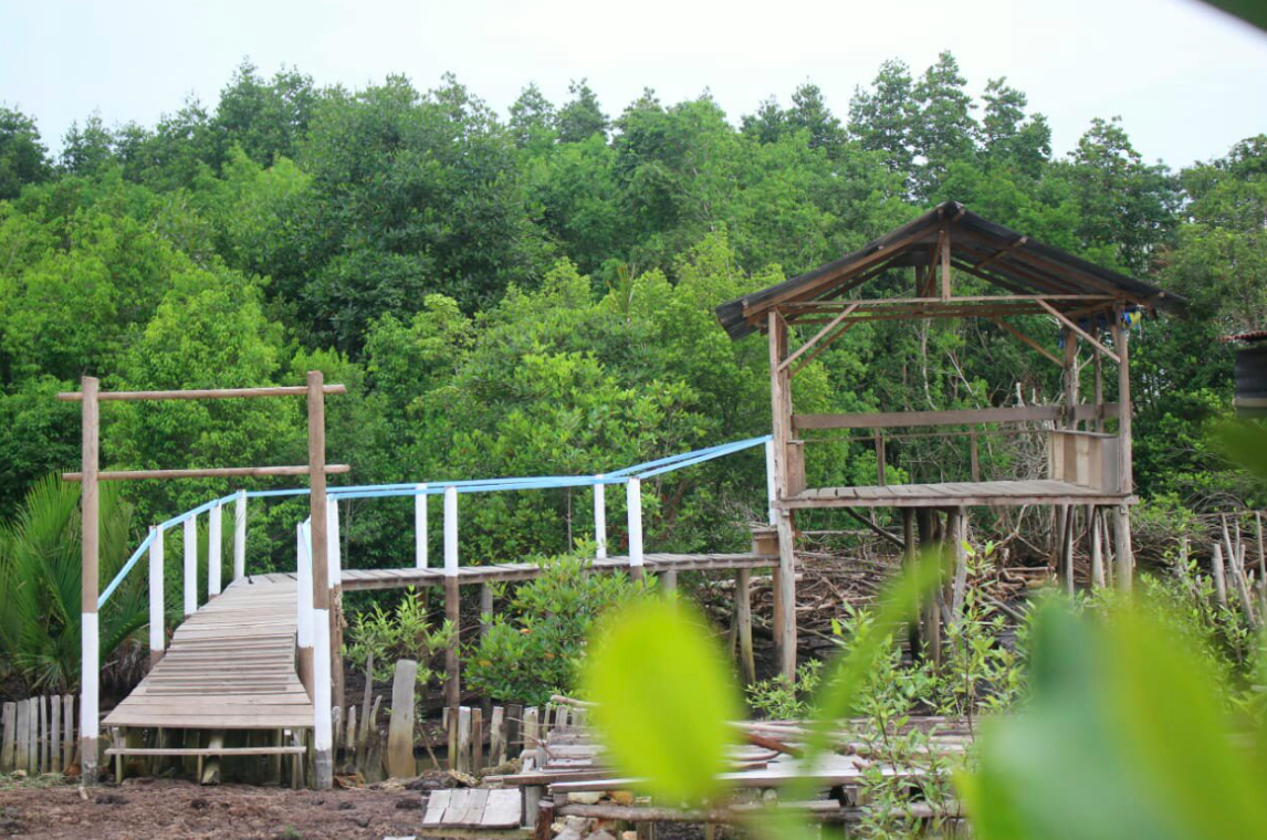 hutan-mangrove-sebauk-1.png